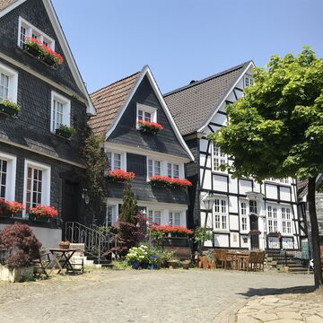 Walk and Talk - gemeinsam unterwegs