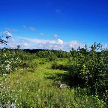 AUSGEBUCHT: Exkursion zum Eignerbach - Folgebiotope nach Einstellung des Betriebes