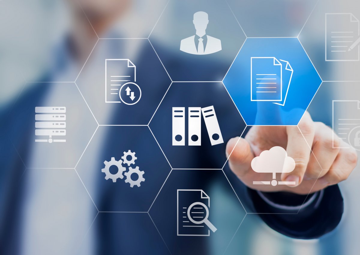 Behörden-Dschungel: Statusmonitor für die BundID soll die Wirtschaft entlasten