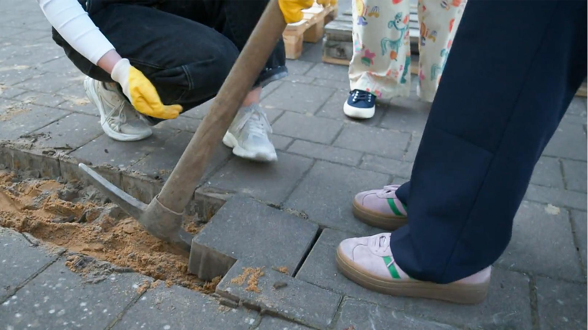 Aus Grau wird Grün