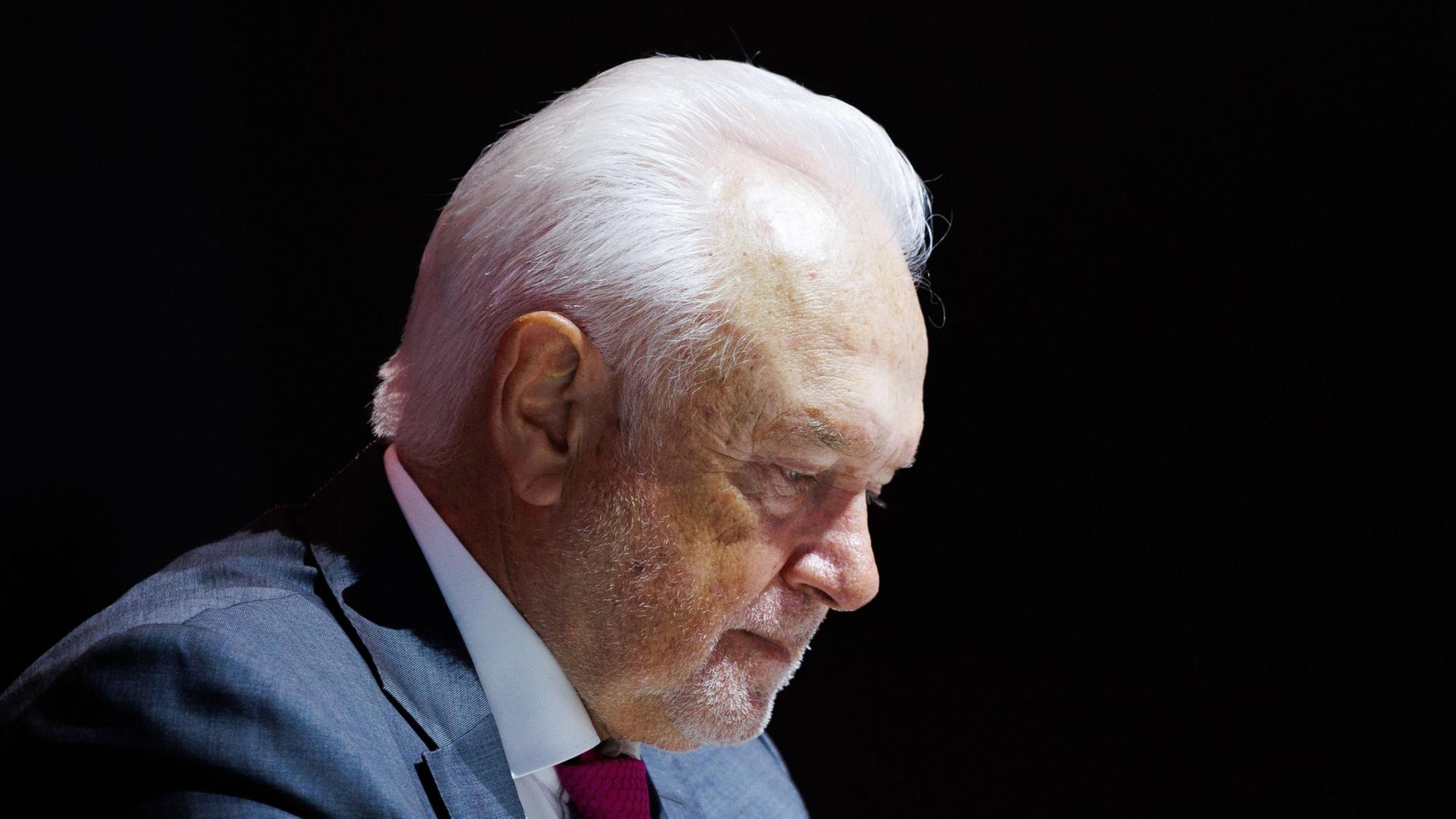 Die FDP ringt mit sich selbst - und mit Kubicki
